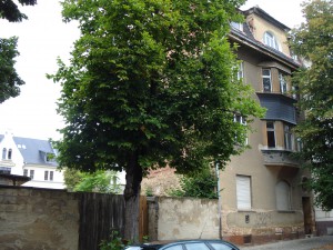 dsc01075